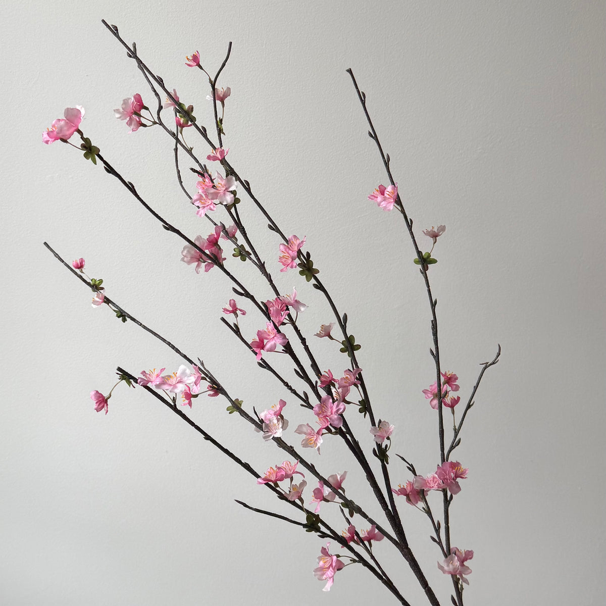 Bloesem Sakura Spray - Roze/Fuchsia