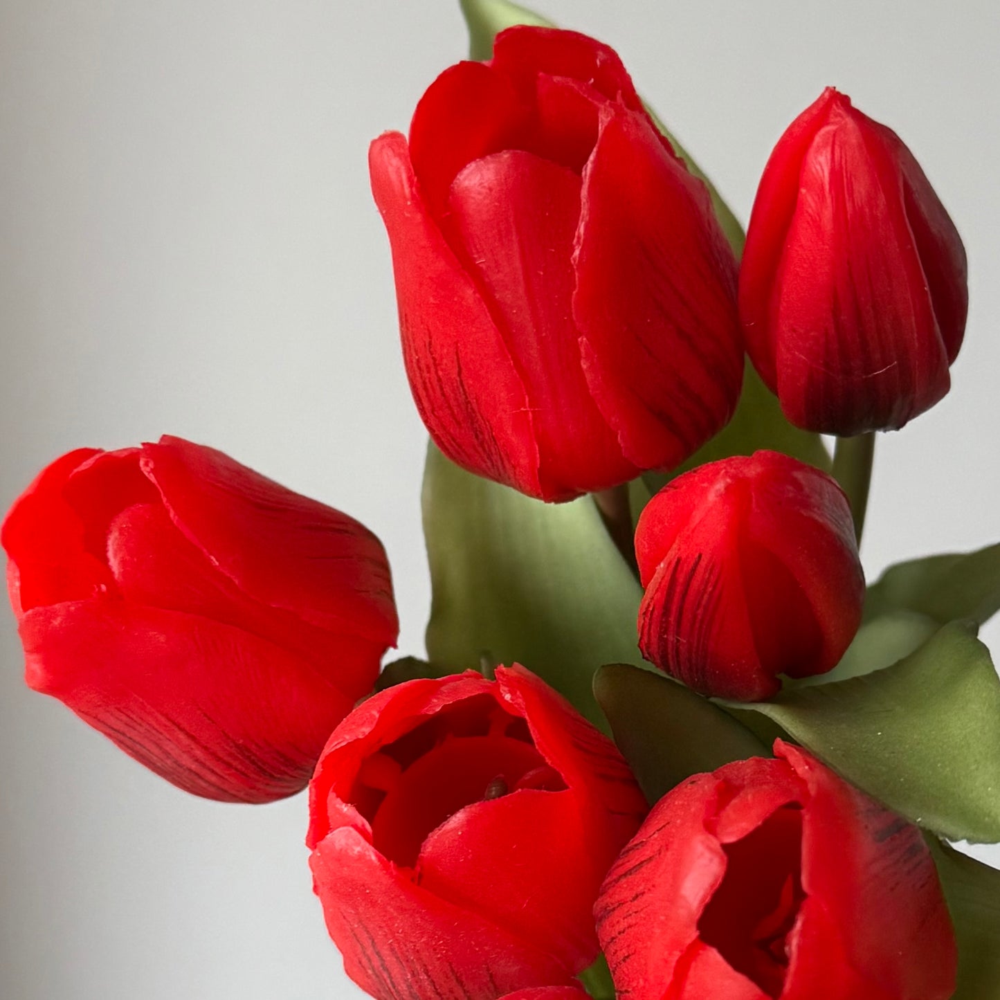 Tulpen (bosje 7 stuks) - Rood