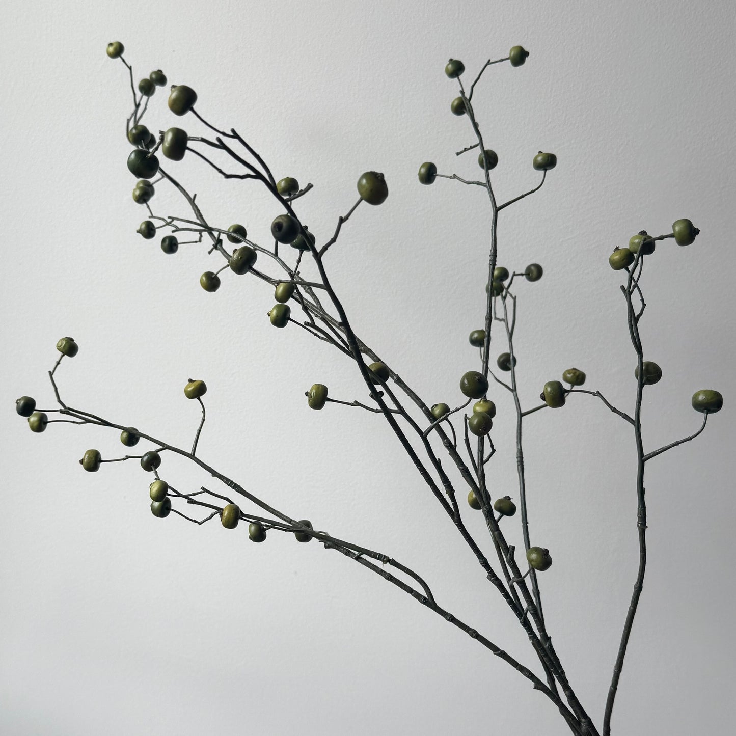 Rosehip Spray (bessen) - Groen