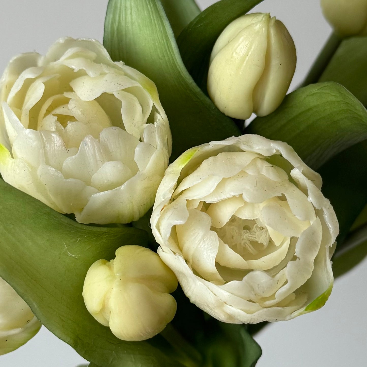 Pioen tulpen (bosje 7 stuks) - Wit