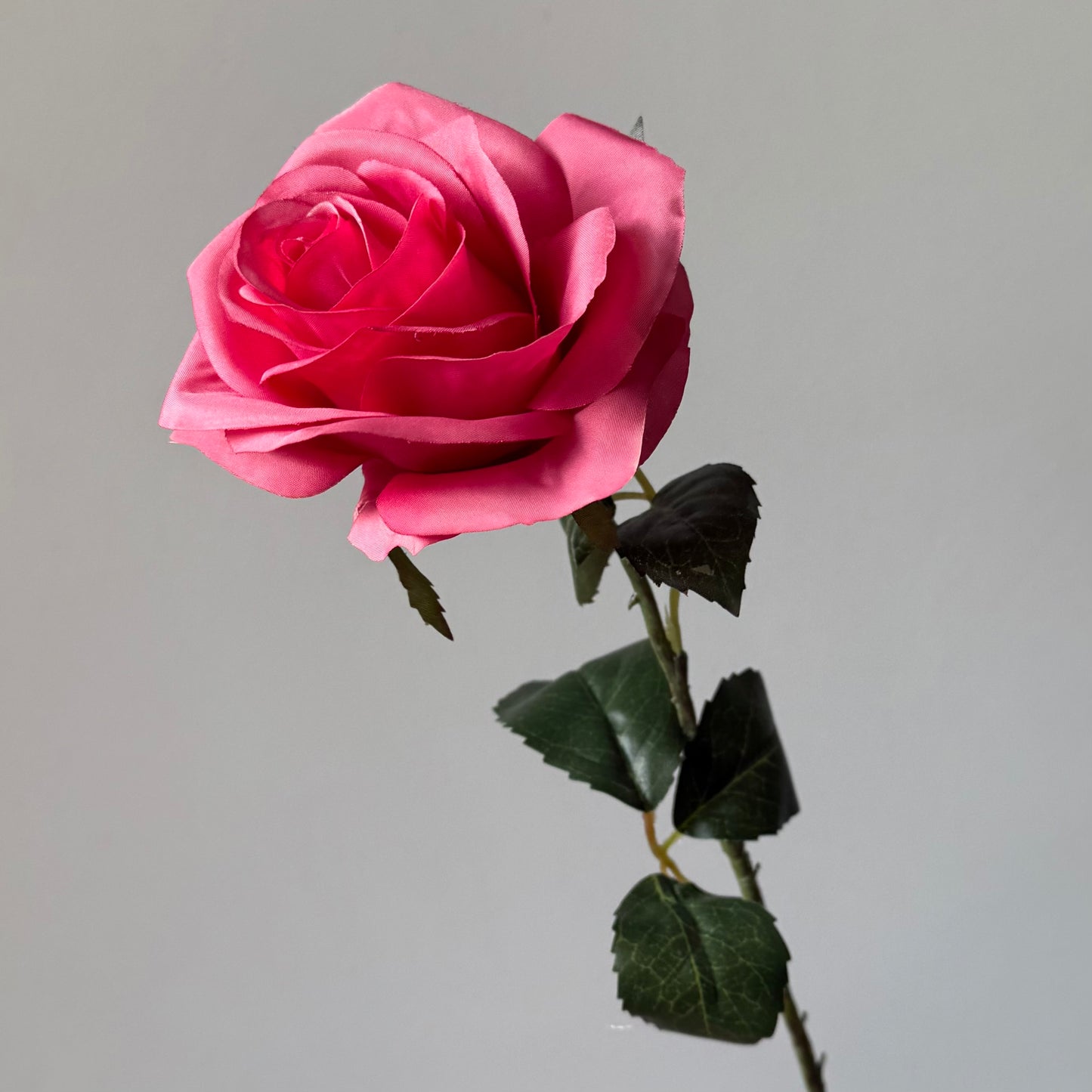 Roos - Donker Roze