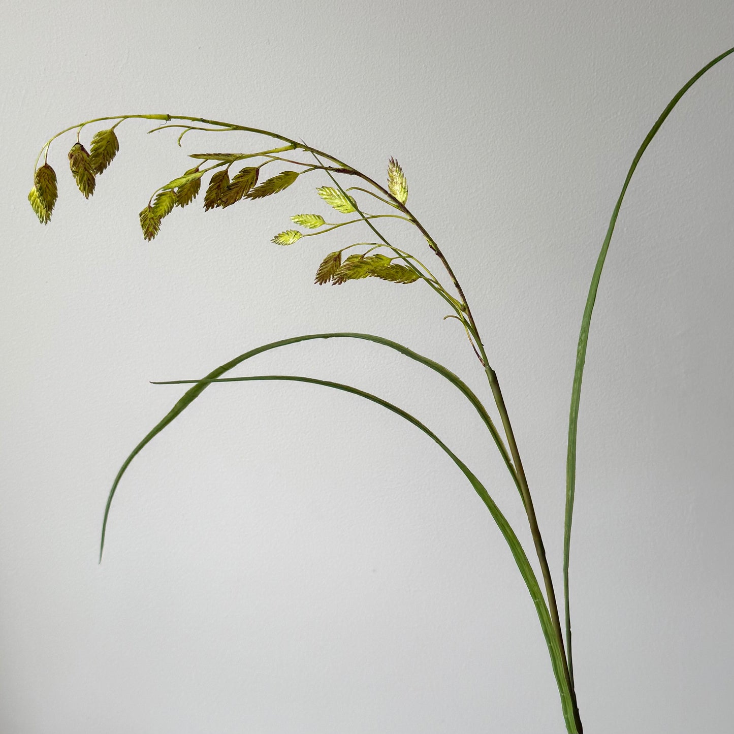 Gras tak - Groen