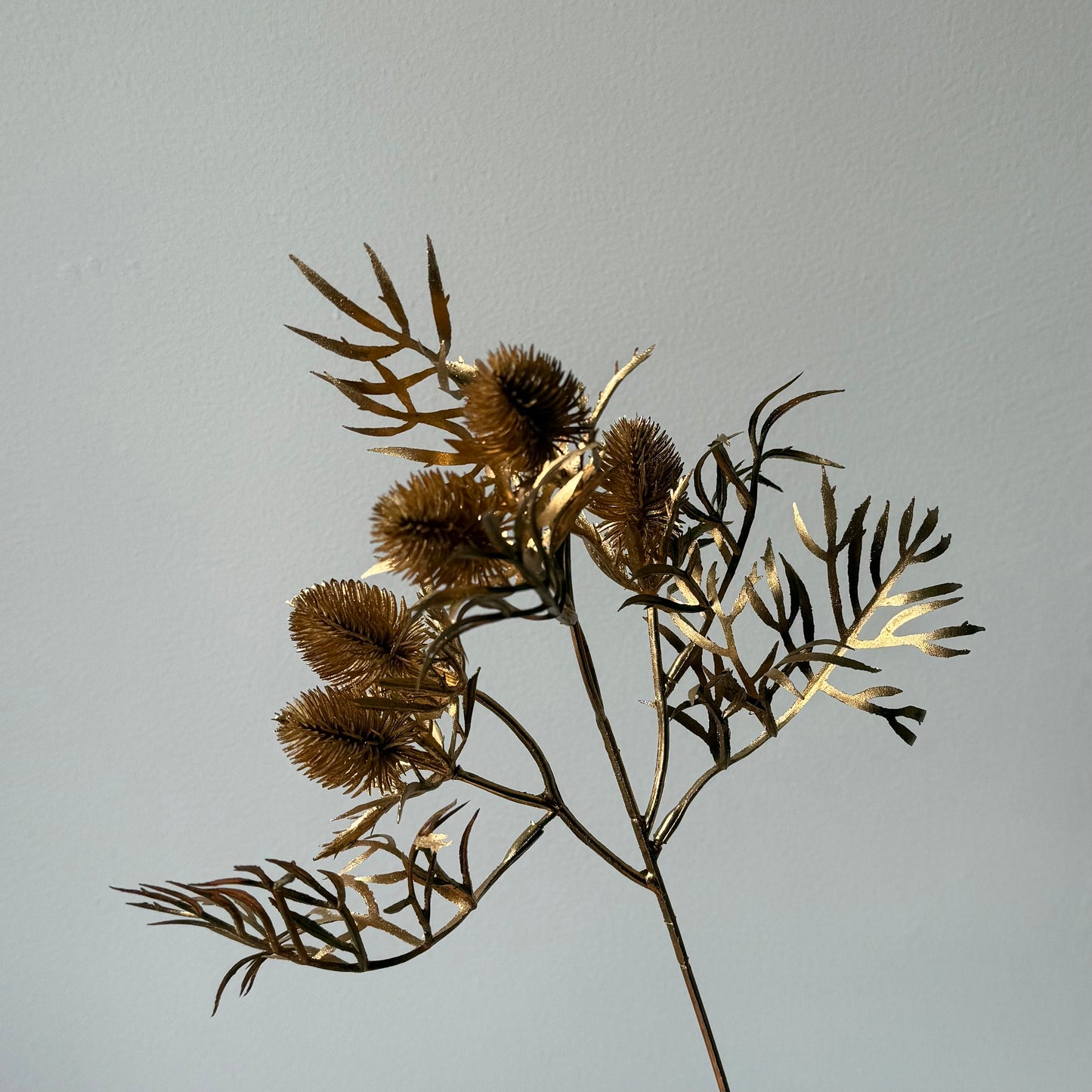 Distel - Goud