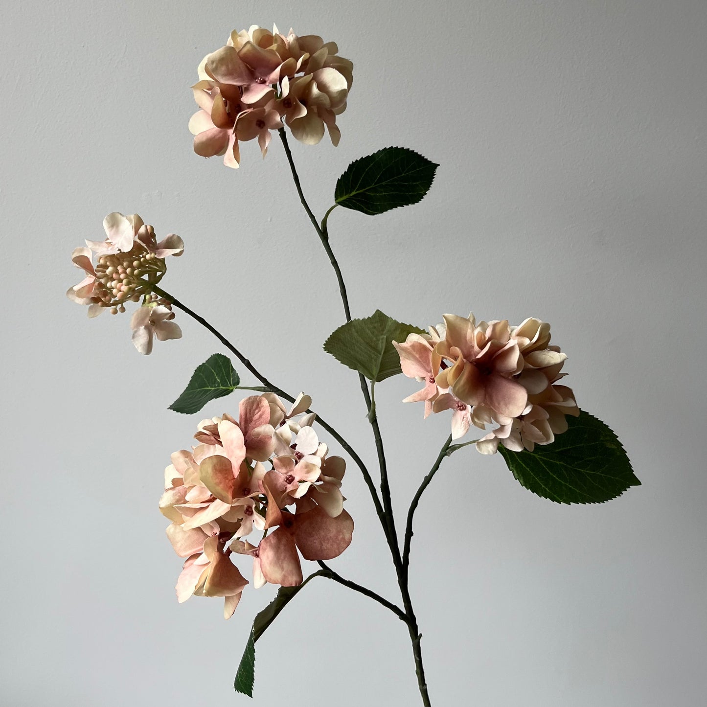 Hydrangea (Hortensia) Spray - Oudroze