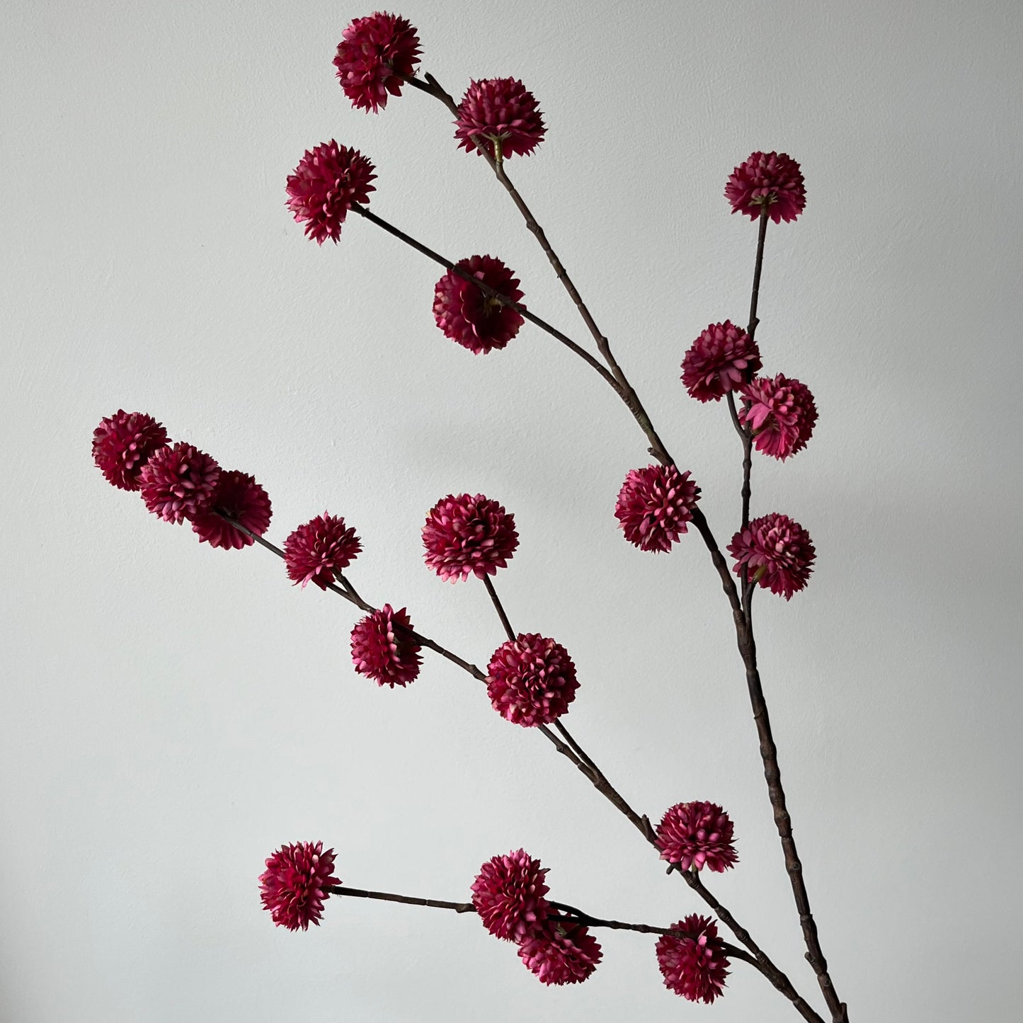 Pompom small Spray - Bordeaux
