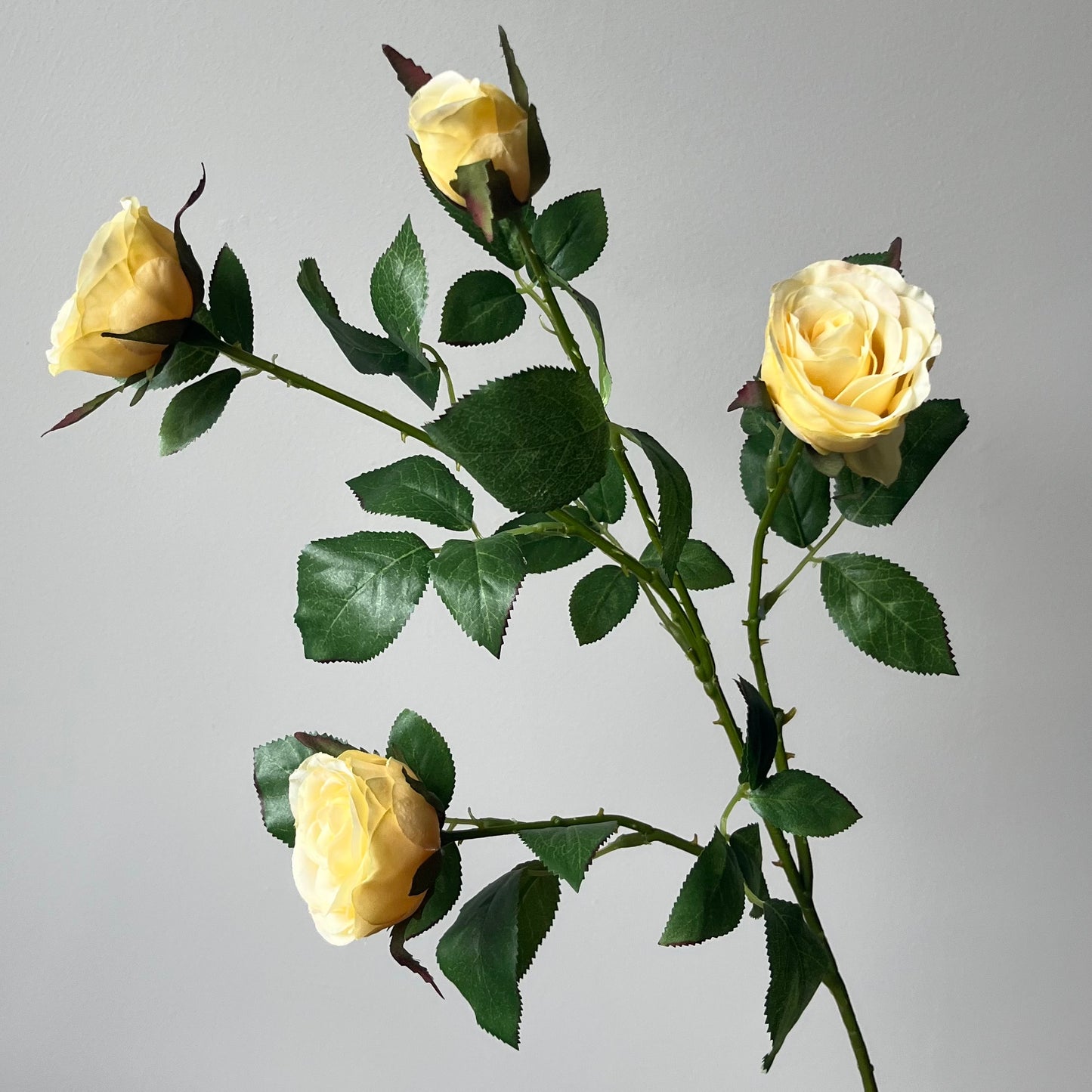 Roos spray - Licht geel