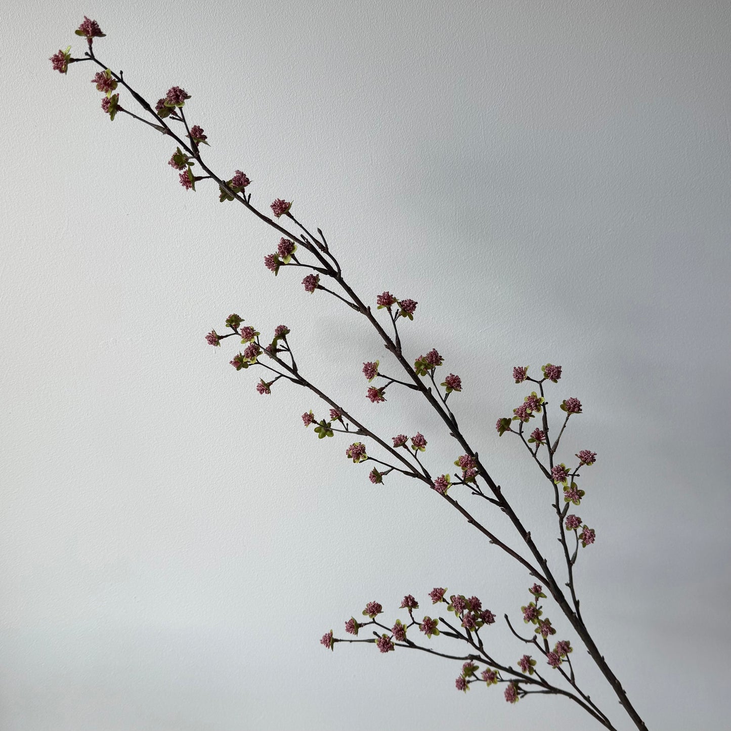 Bloesem tak Spray - Bordeaux