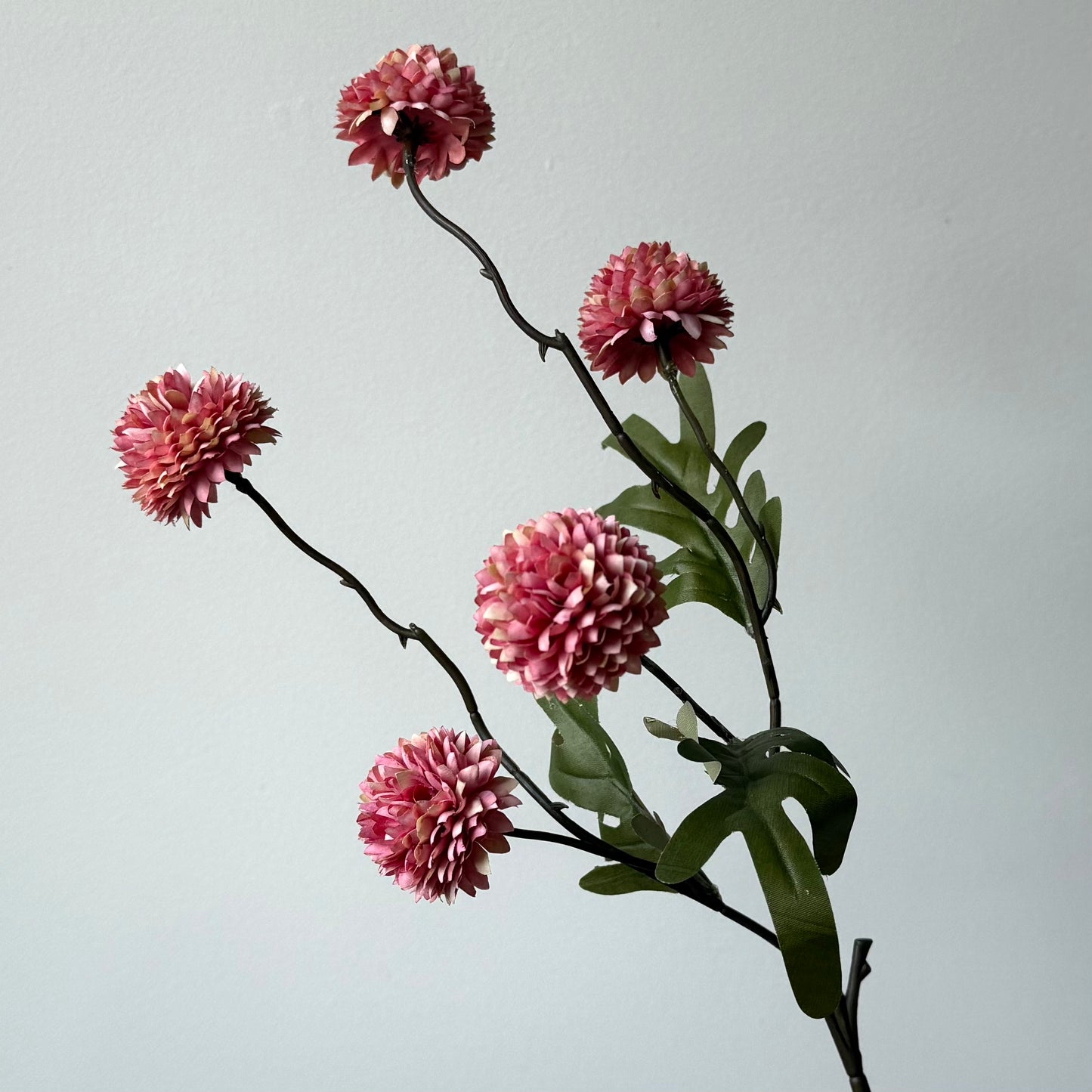 Pompom small met blad - Roze