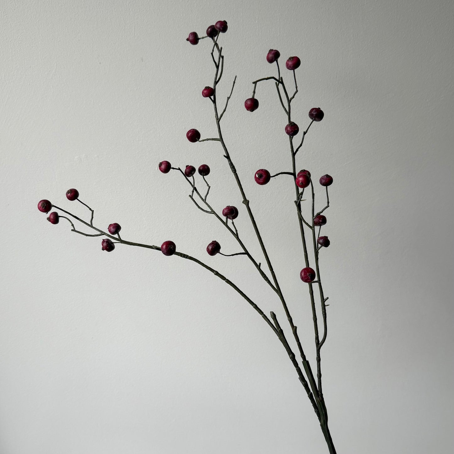 Rosehip Spray (bessen) - Bordeaux