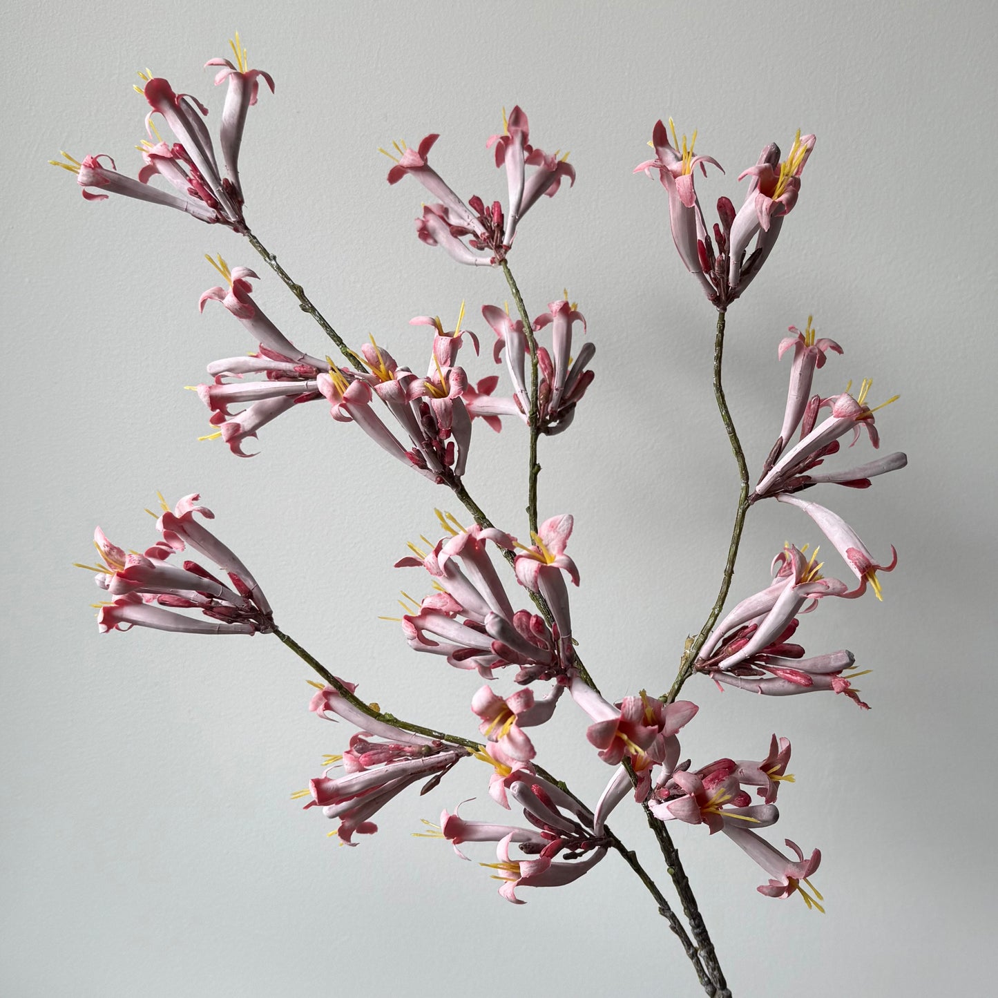 Stephanotis Spray - Paars/Roze