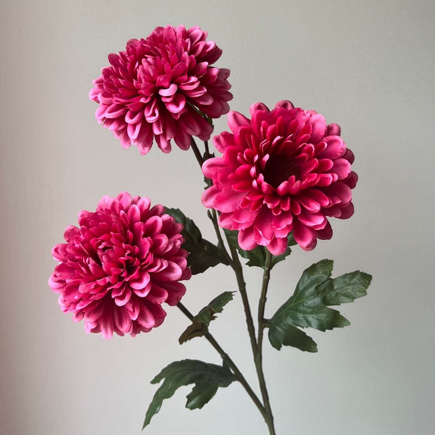Chrysant Spray - Donker Roze