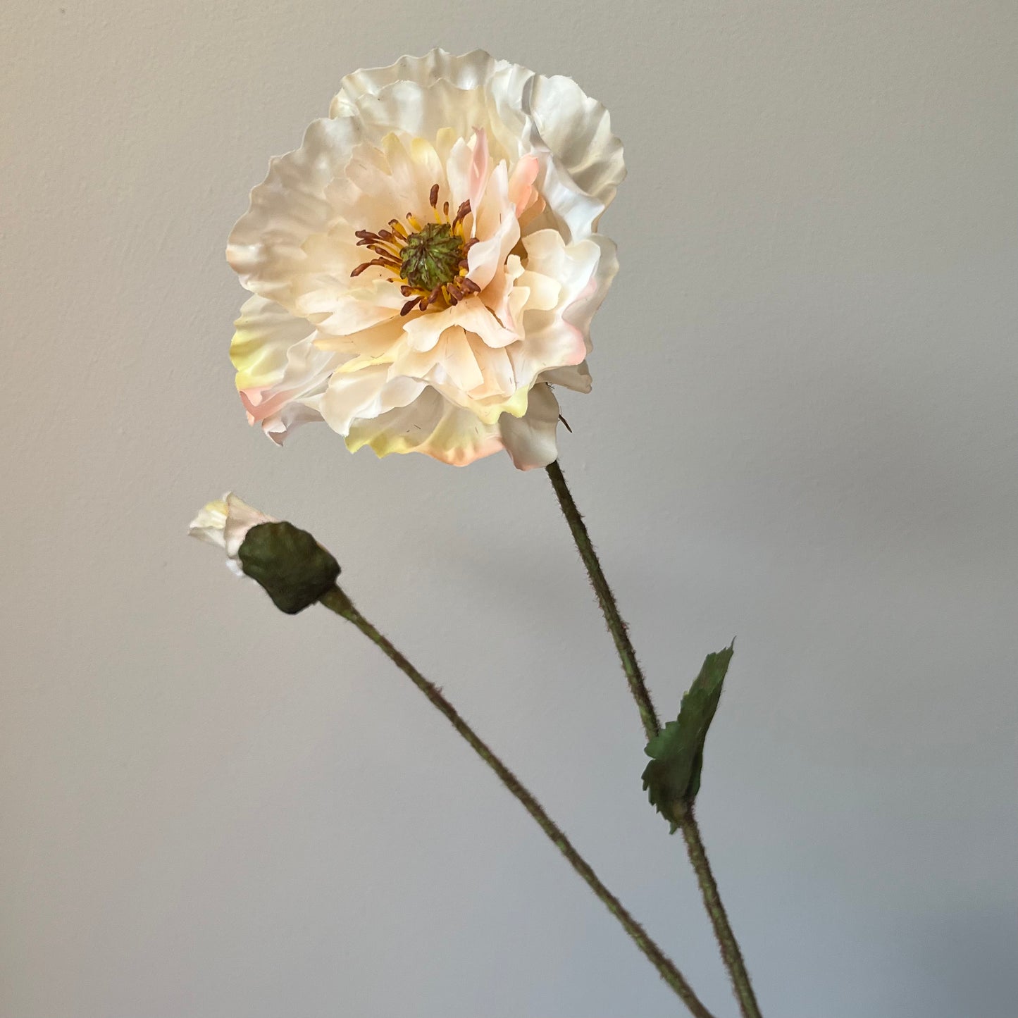 Poppy (Klaproos) - Zalm