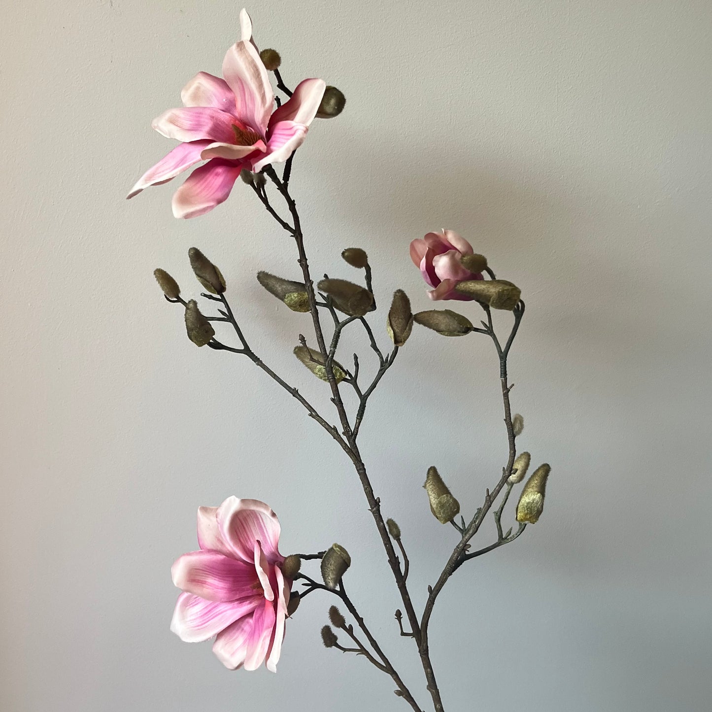 Magnolia - Roze