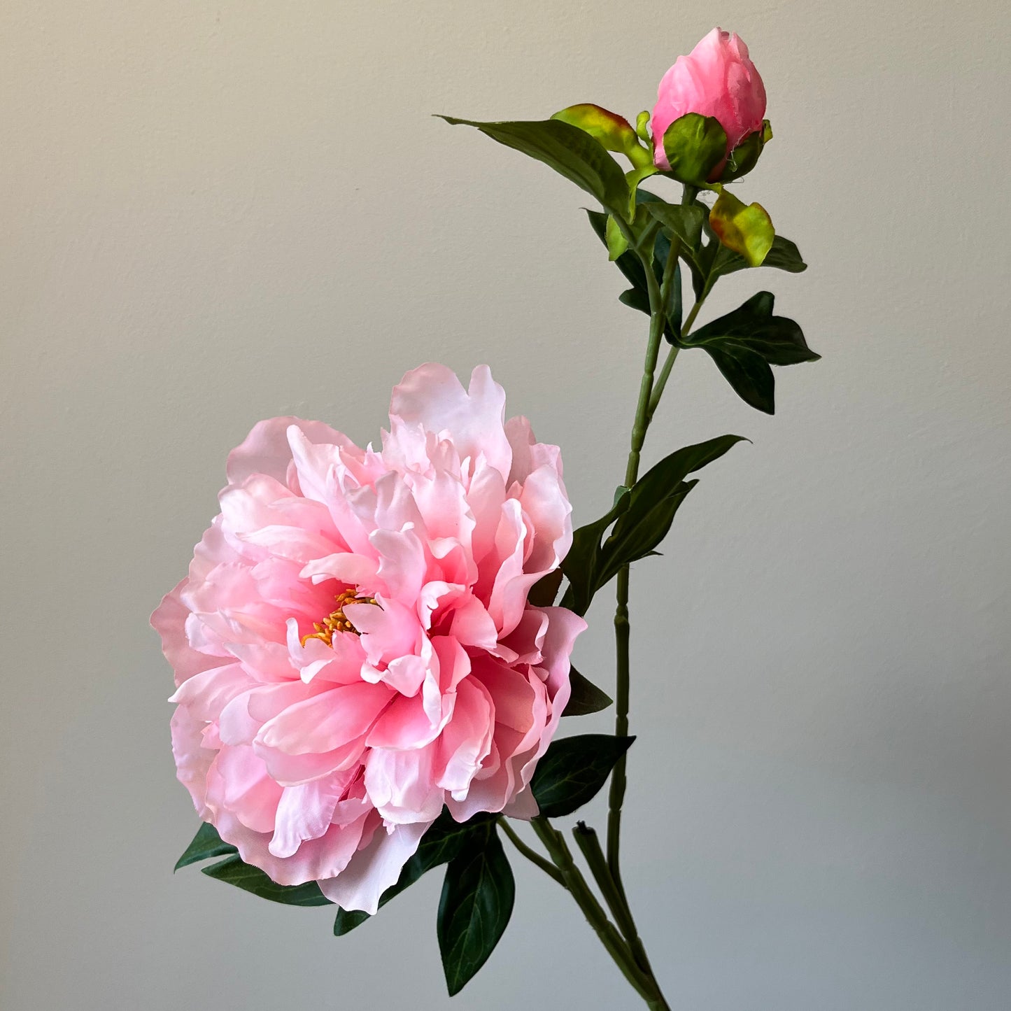 Pioenroos Arches Spray - Roze