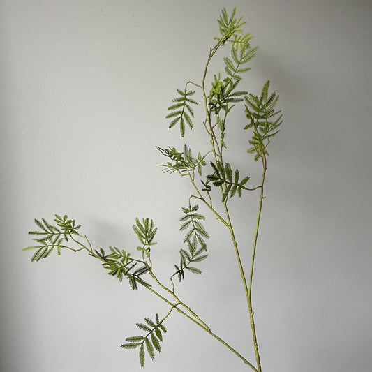 Mimosa Bladtak Large - Groen