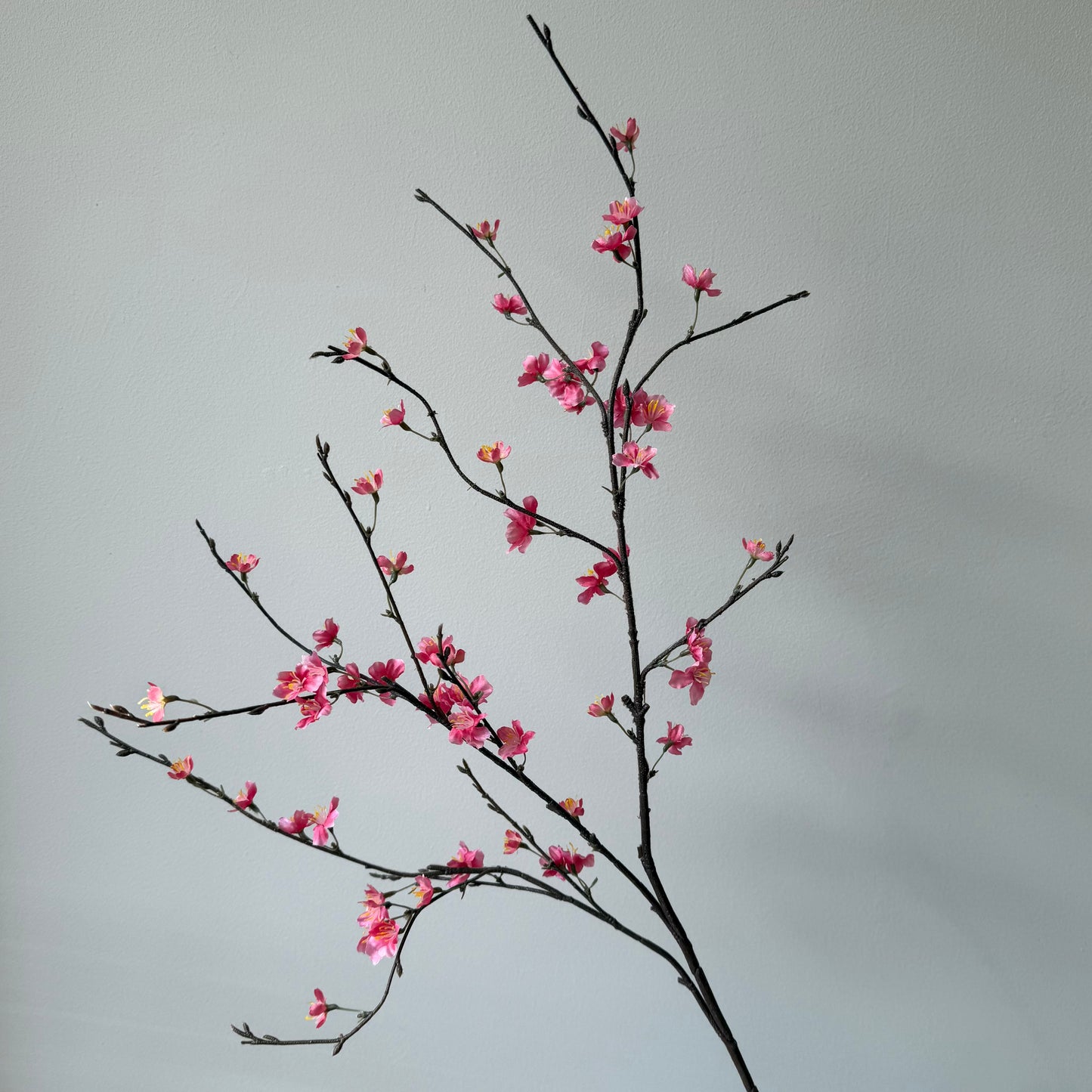 Bloesem Sakura Spray - Roze