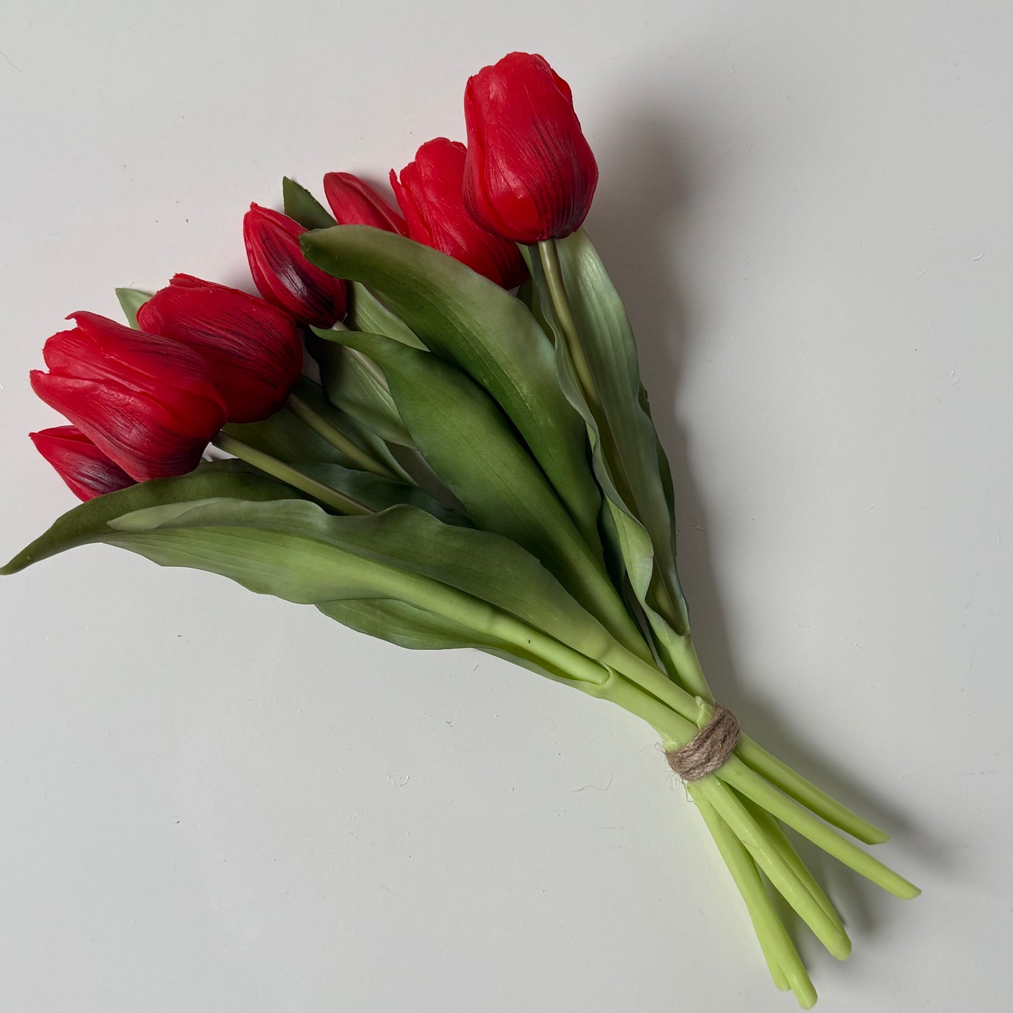 Tulpen (bosje 7 stuks) - Rood