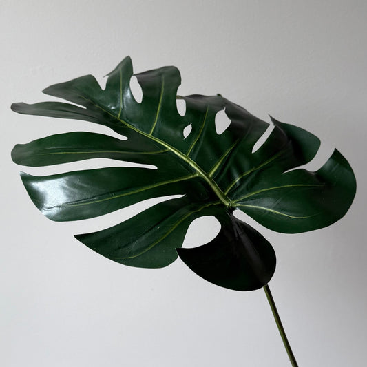 Monstera Blad - Groen