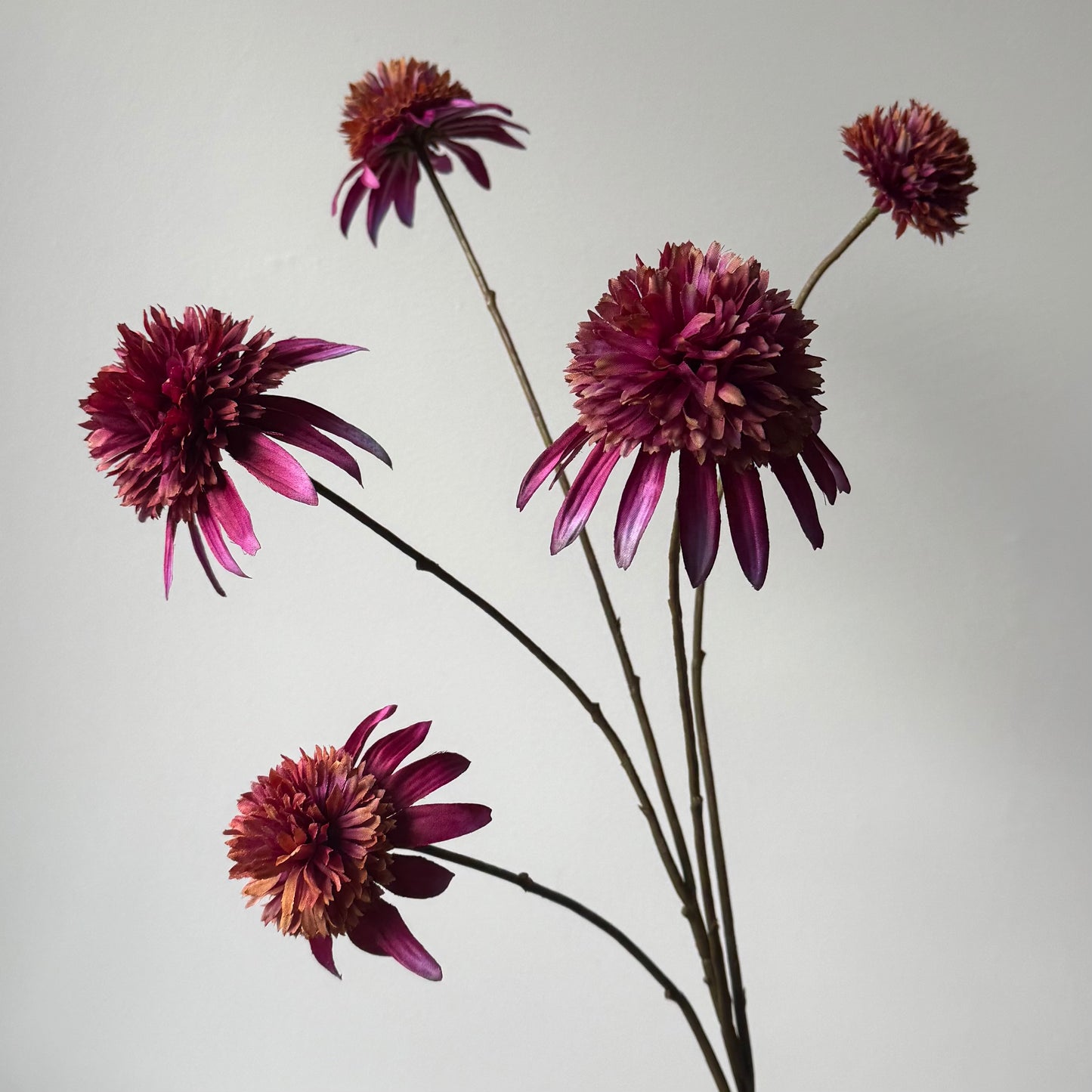 Rudbeckia (Zonnehoed) Spray - Paars