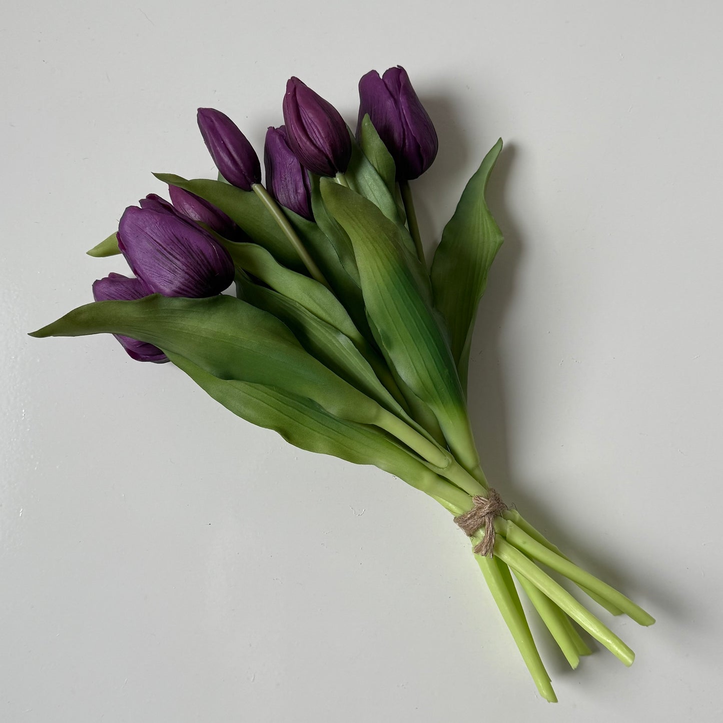 Tulpen (bosje 7 stuks) - Donkerpaars