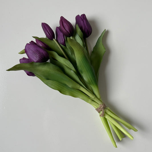 Tulpen (bosje 7 stuks) - Donkerpaars