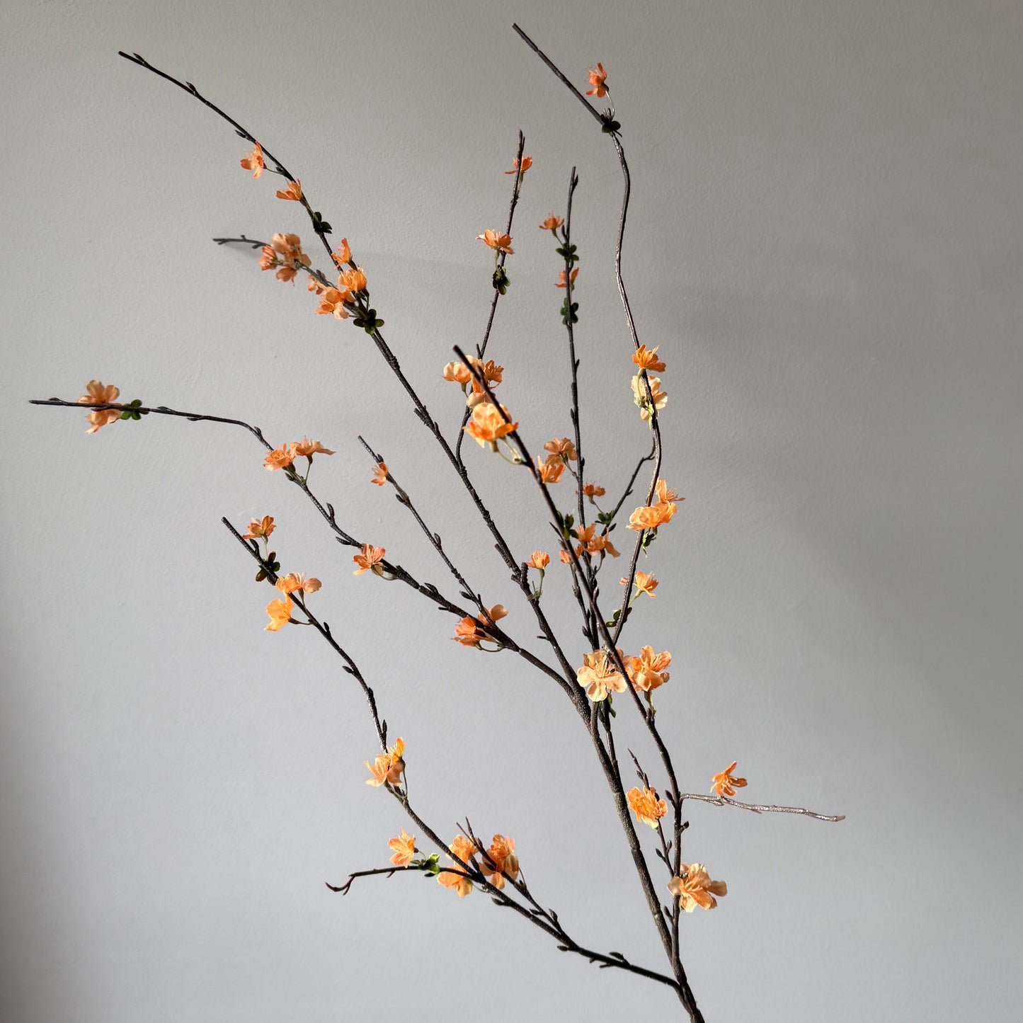 Bloesem Sakura Spray - Peach