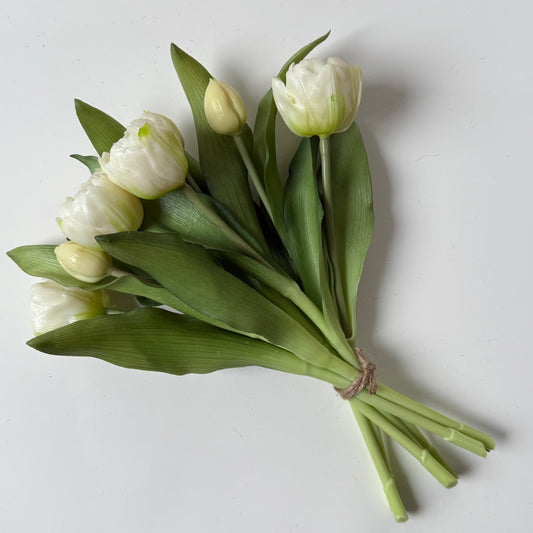 Pioen tulpen (bosje 7 stuks) - Wit