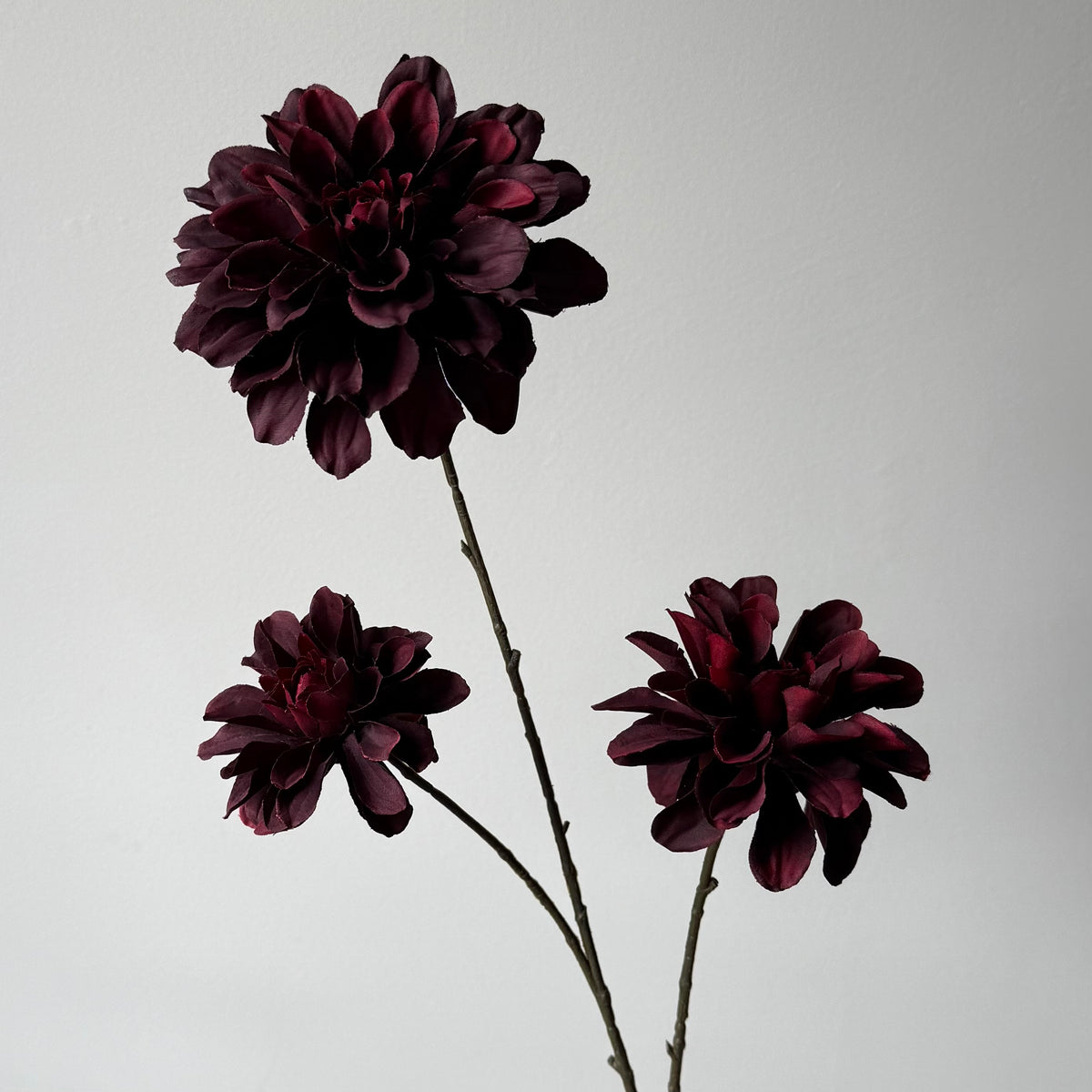 Dahlia Spray (3-bloemig) - Bordeaux