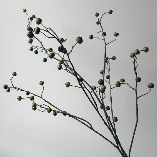 Rosehip Spray (bessen) - Groen