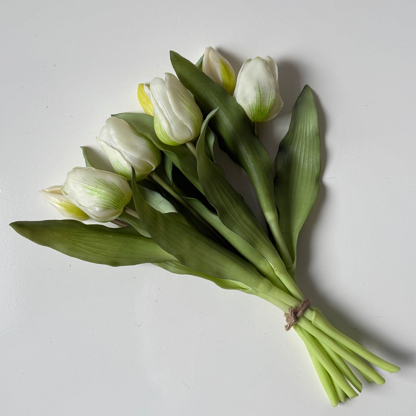 Tulpen (bosje 7 stuks) - Wit