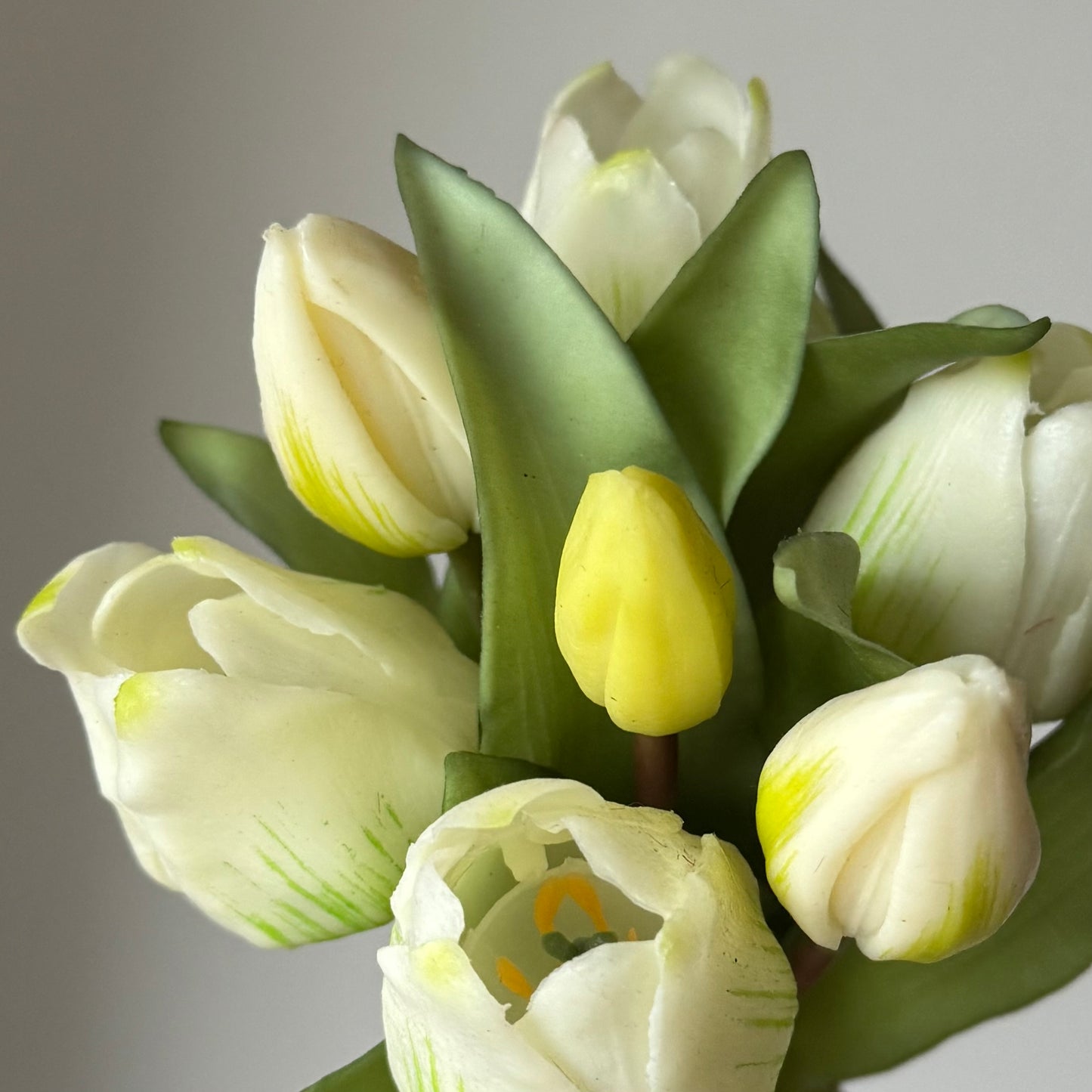 Tulpen (bosje 7 stuks) - Wit