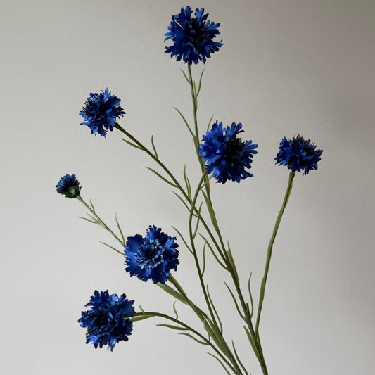 Korenbloem Spray - Diep Blauw