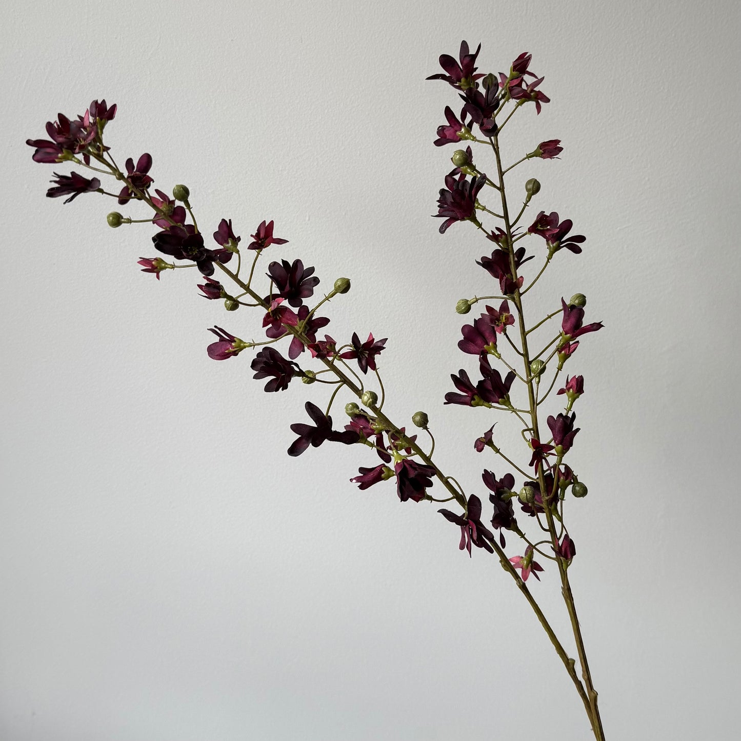 Hyacint (2-tak) - Bordeaux