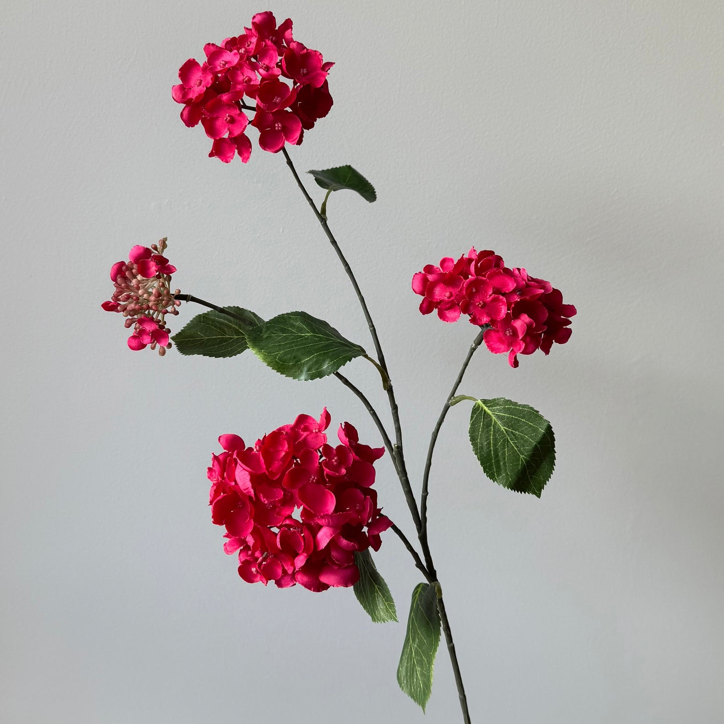 Hydrangea (Hortensia) Spray - Fuchsia