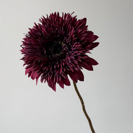 Zonnebloem - Paars