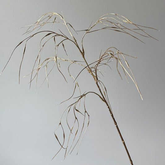 Stipa gras Spray - Goud
