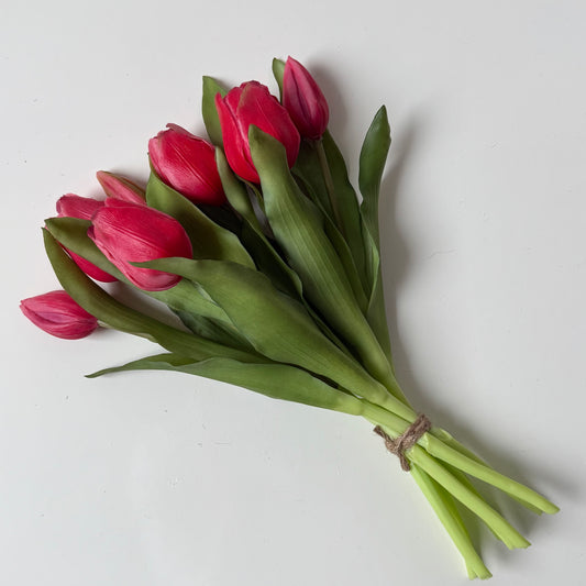 Tulpen (bosje 7 stuks) - Donkerroze