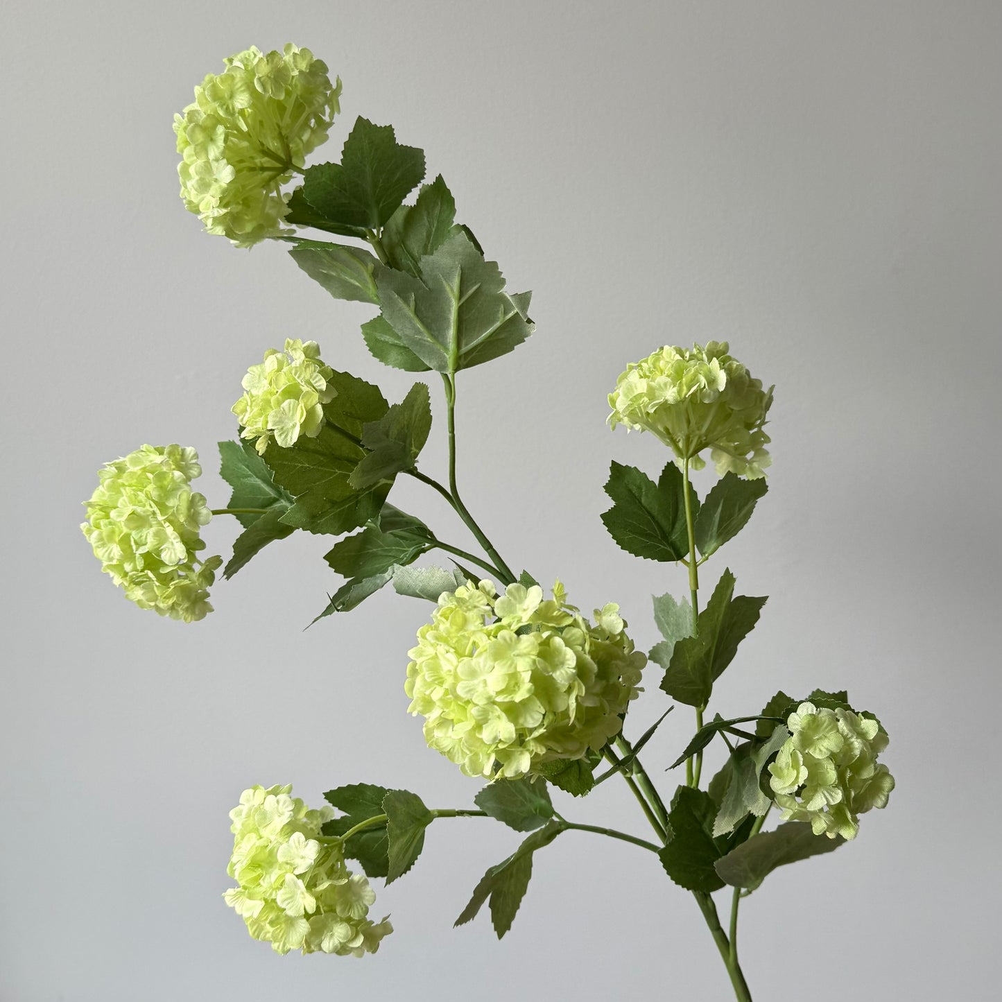 Sneeuwbal Tak - Groen