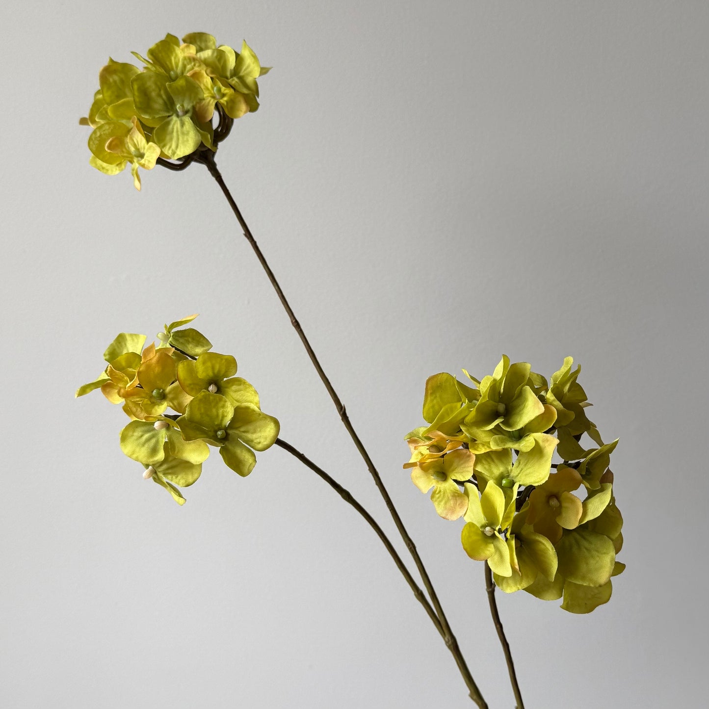 Hydrangea (Hortensia) Spray - Fel olijfgroen