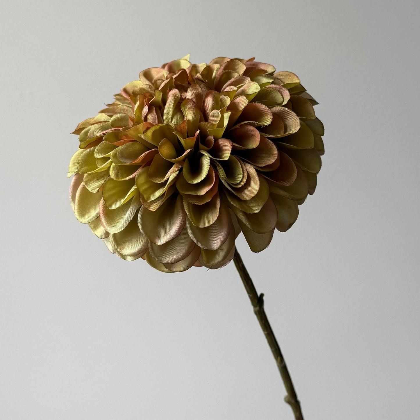 Dahlia - Groen/Mauve