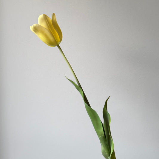 Tulp Steel - Geel