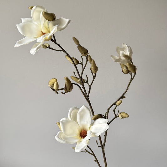 Magnolia - Wit