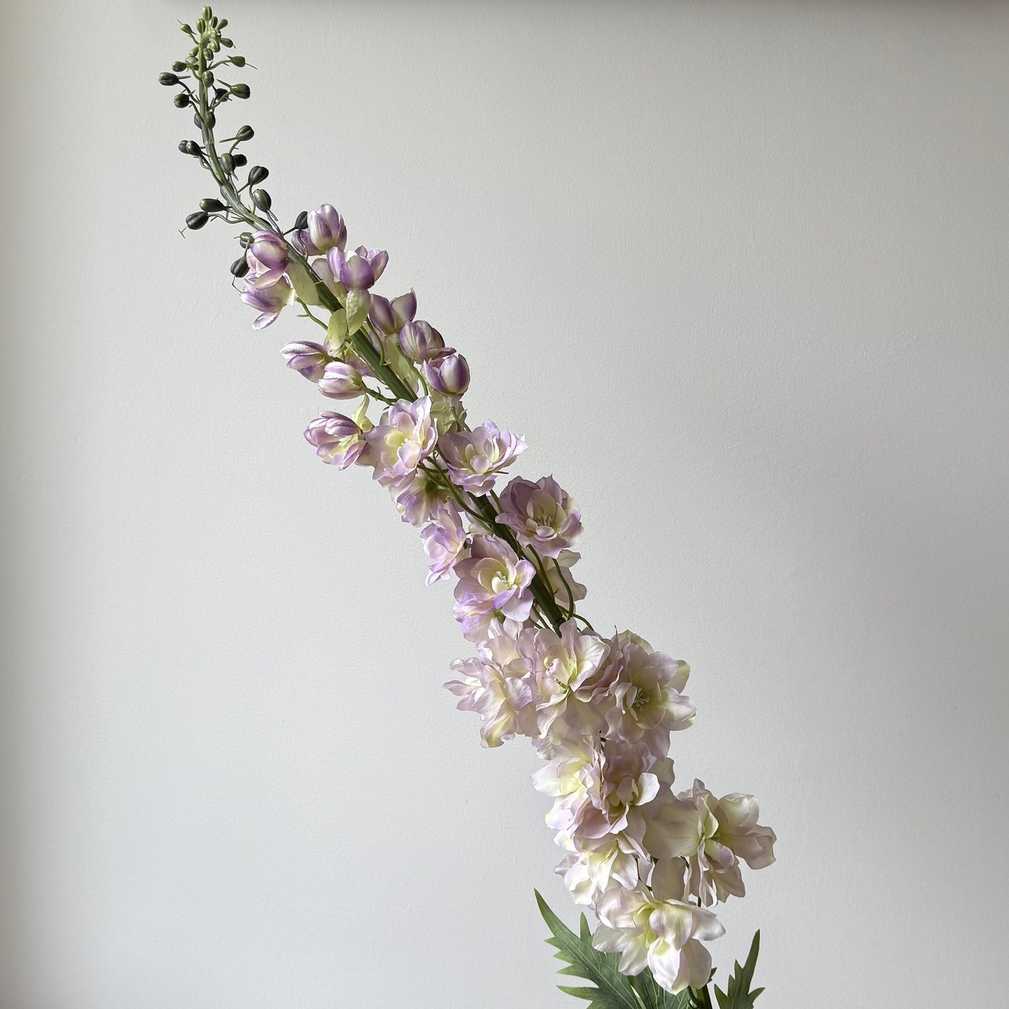 Delphinium XL (Ridderspoor) - Lichtpaars