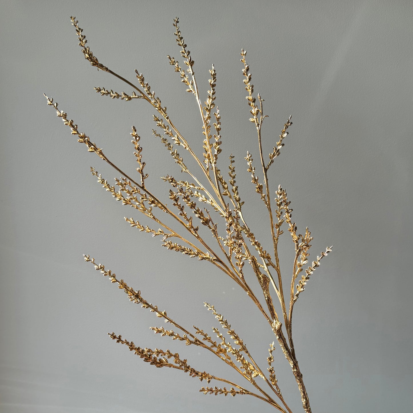 Christmas astible (Pluimspirea) - Goud