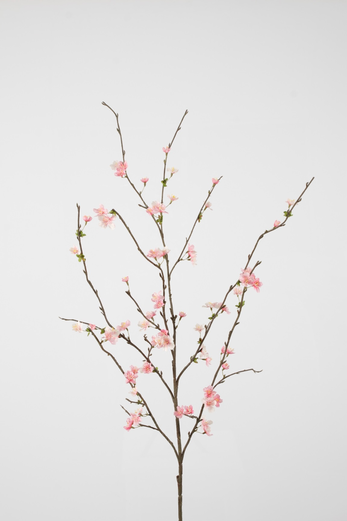 Bloesem Sakura Spray - Roze/Fuchsia