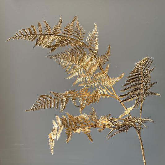 Aspargus (Sierasperge) - Goud