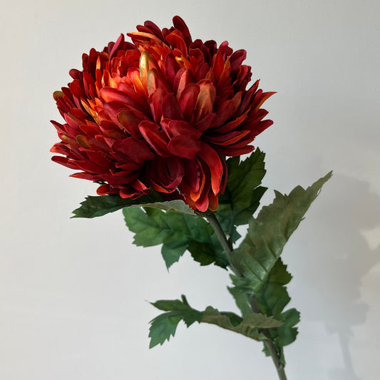 Chrysant - Rood/Oranje