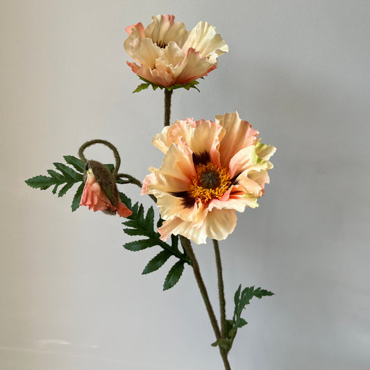 Poppy (Klaproos) Spray - Zalm
