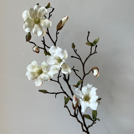 Magnolia Wild - Wit