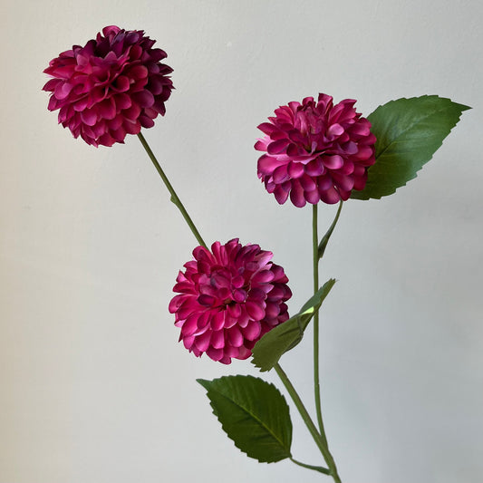 Dahlia Pompon Spray - Donker Roze